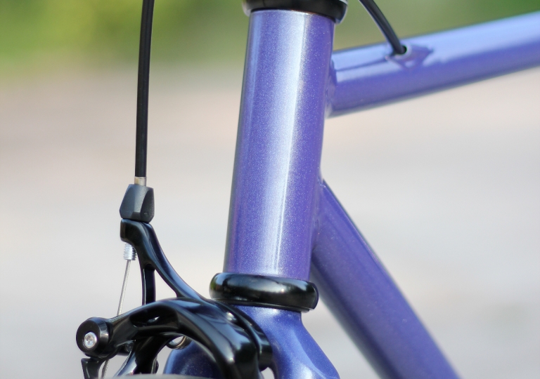 Pędziwiatr Karoliny