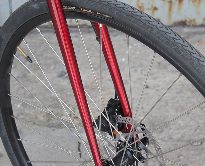 Stalowa Róża Pana Rafała